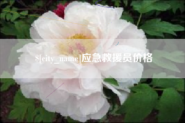 襄垣应急救援员价格