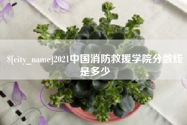 襄垣2021中国消防救援学院分数线是多少