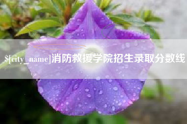 襄垣消防救援学院招生录取分数线