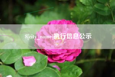 襄垣执行信息公示