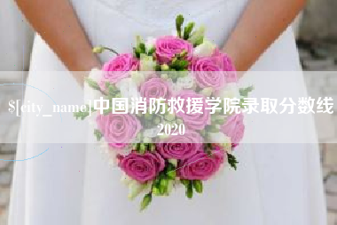 襄垣中国消防救援学院录取分数线2020