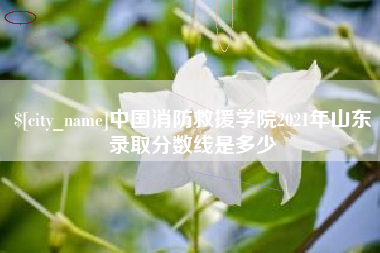 襄垣中国消防救援学院2021年山东录取分数线是多少