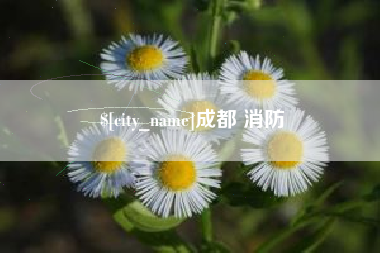 襄垣成都 消防