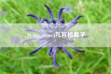 襄垣九宫格盘子