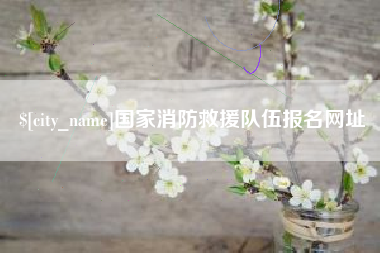 襄垣国家消防救援队伍报名网址