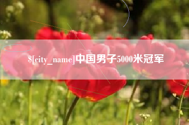 襄垣中国男子5000米冠军