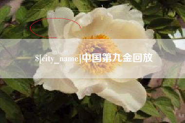 襄垣中国第九金回放