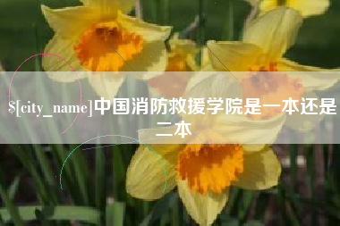 襄垣中国消防救援学院是一本还是二本