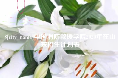 襄垣中国消防救援学院2020年在山东招生计划表