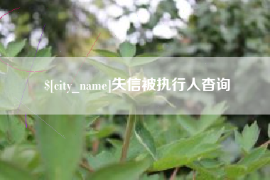 襄垣失信被执行人杳询