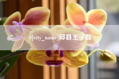 襄垣邱县王子磊