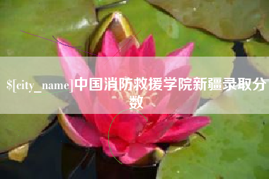 襄垣中国消防救援学院新疆录取分数