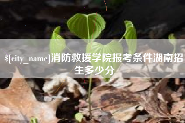 襄垣消防救援学院报考条件湖南招生多少分