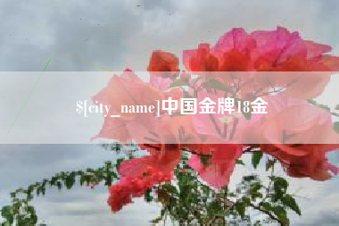 襄垣中国金牌18金