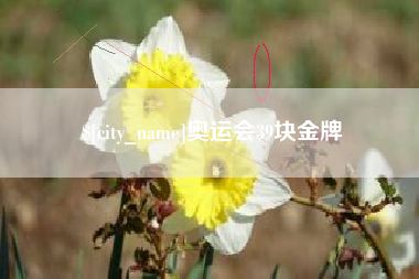 襄垣奥运会39块金牌