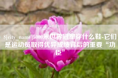 襄垣5000米世界冠军穿什么鞋-它们是运动员取得优异成绩背后的重要“功臣”