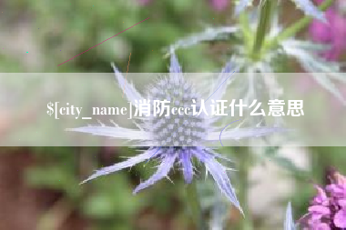 襄垣消防ccc认证什么意思