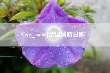襄垣全国消防日哪一