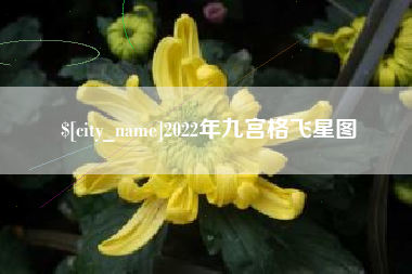 襄垣2022年九宫格飞星图