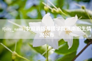 襄垣中国消防救援学院湖南招生情况公布