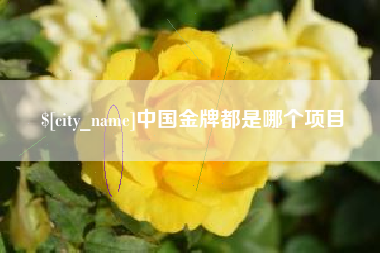 襄垣中国金牌都是哪个项目