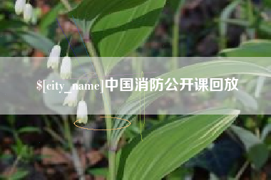 襄垣中国消防公开课回放