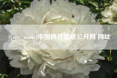 襄垣中国执行信息公开网 网址