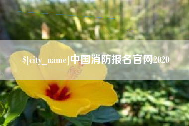 襄垣中国消防报名官网2020