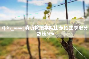 襄垣消防救援学院山东招生录取分数线2020