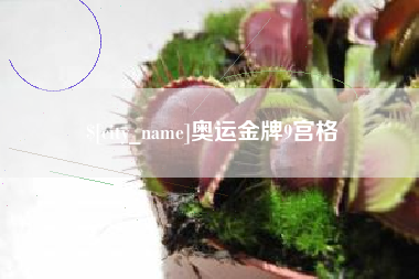 襄垣奥运金牌9宫格