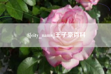 襄垣王子豪百科