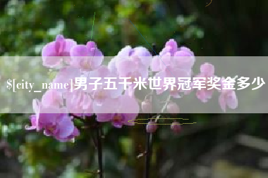 襄垣男子五千米世界冠军奖金多少
