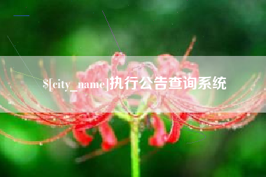 襄垣执行公告查询系统