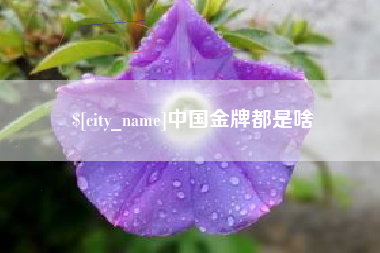 襄垣中国金牌都是啥