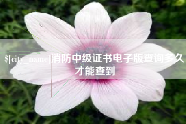 襄垣消防中级证书电子版查询多久才能查到