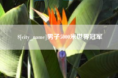 襄垣男子5000米世界冠军