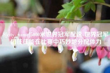 襄垣5000米世界冠军配速-世界冠军们往往能在比赛中巧妙地分配体力
