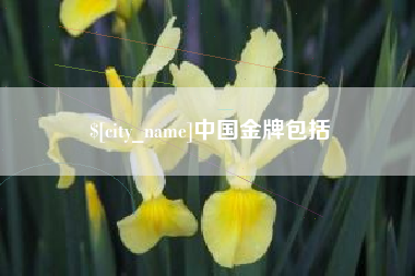 襄垣中国金牌包括
