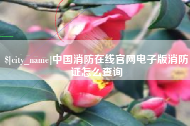 襄垣中国消防在线官网电子版消防证怎么查询