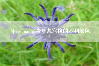 襄垣今年九宫格的不利颜色