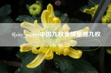 襄垣中国九枚金牌是哪九枚