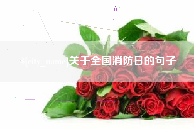 襄垣关于全国消防日的句子