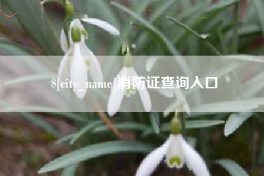 襄垣消防证查询入口