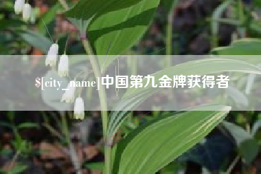 襄垣中国第九金牌获得者