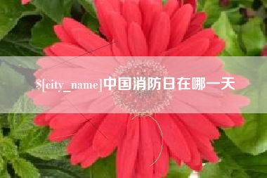 襄垣中国消防日在哪一天
