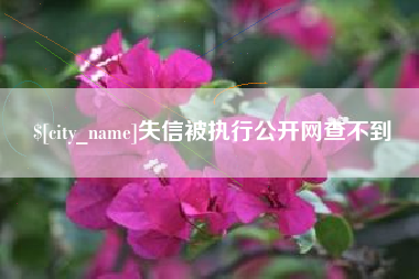 襄垣失信被执行公开网查不到