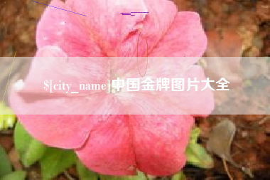 襄垣中国金牌图片大全