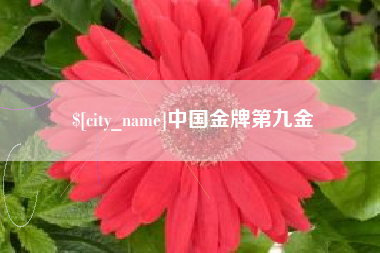 襄垣中国金牌第九金