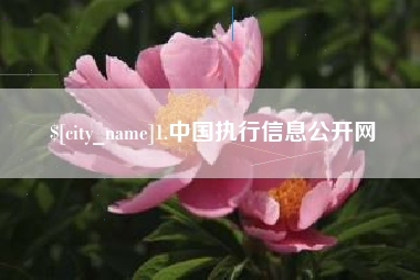 襄垣1.中国执行信息公开网