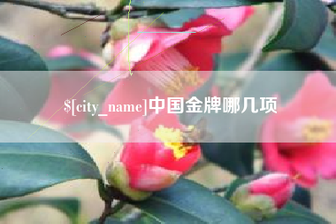 襄垣中国金牌哪几项